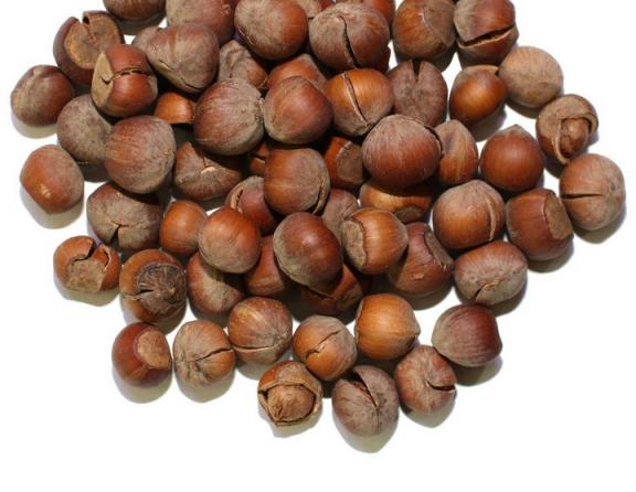 عرضه انواع فندق خام صادراتی