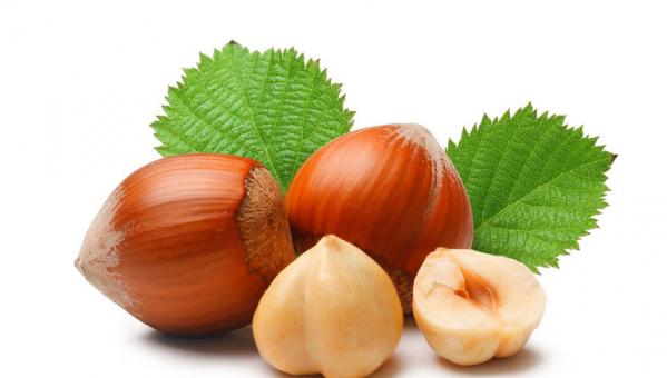 راهنمای تهیه بهترین انواع فندق