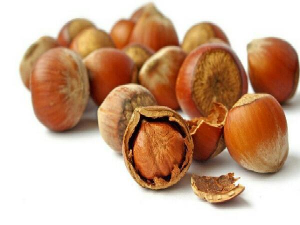 راهنمای خرید فندق ترک خورده