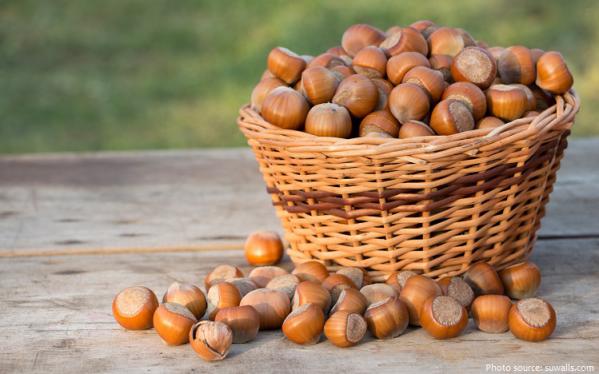 قیمت انواع فندق خام کیلویی