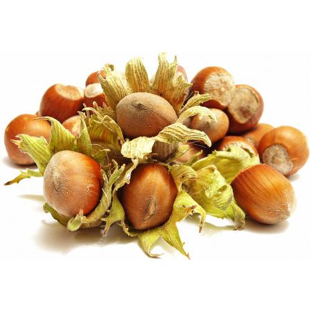 قیمت خرید فندق تازه با کیفیت