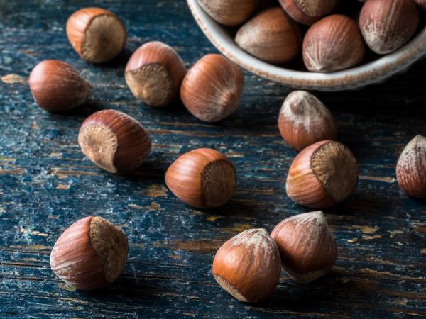 همه چیز درباره فندق نوبرانه گیلان