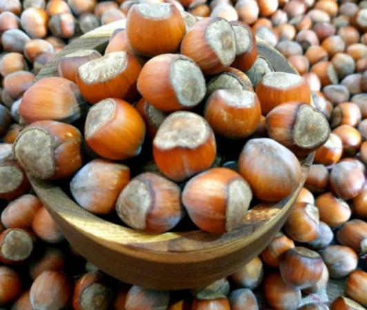 آشنایی با نحوه تولید فندق