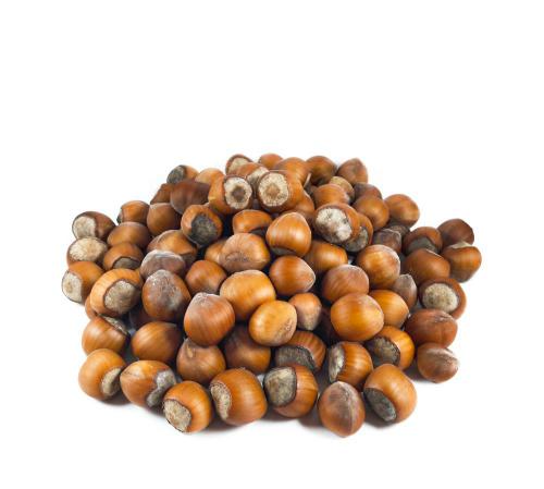 خواص کلسیم فندق برای استخوان ها