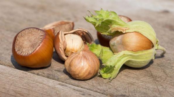 معجزه فندق برای عضلات بدن