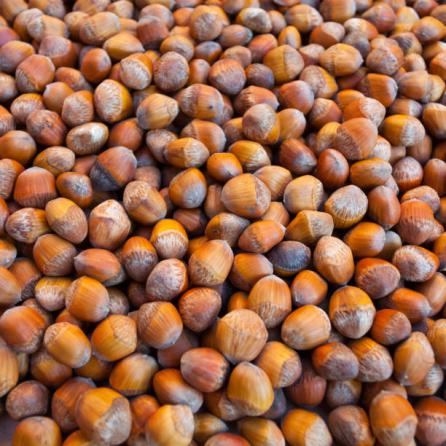 مشخصات فندق دو پوست اشکور