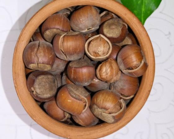 فندق غنی از اسید فولیک اسید