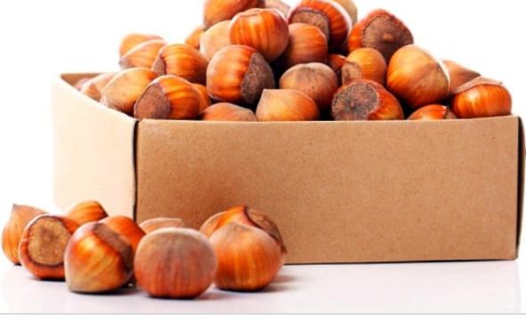 محافظت در برابر اشعه UV با فندق