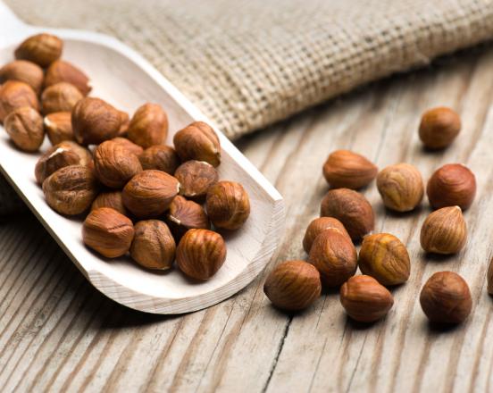 عرضه کنندگان بی واسطه فندق معمولی ارزان