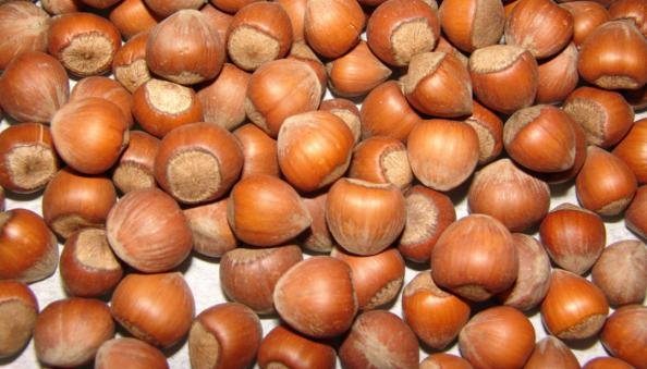 مشخصات انواع فندق اشکوارت