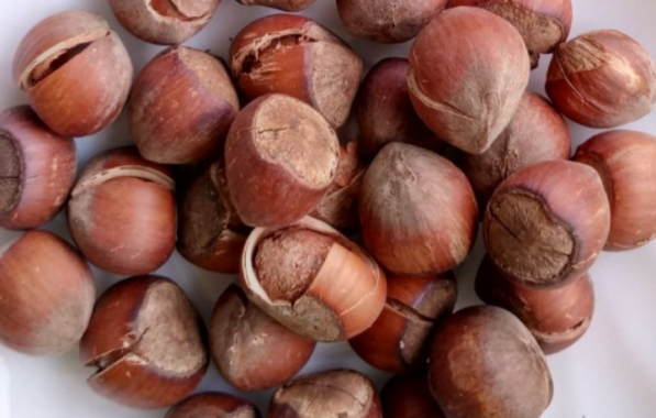 سفارش انواع فندق شکسته صادراتی