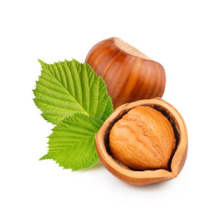 فندق چه خواصی برای مو دارد؟