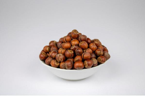 فندق منبع غنی پروتئین است