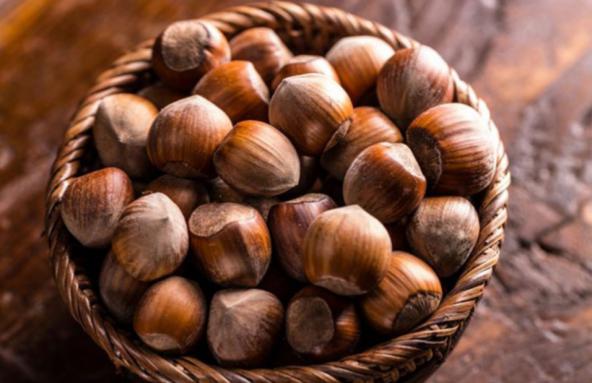 خواص معجزه آسا فندق را بشناسید